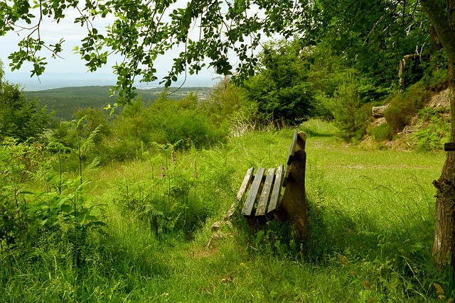關鍵球員 關鍵球員