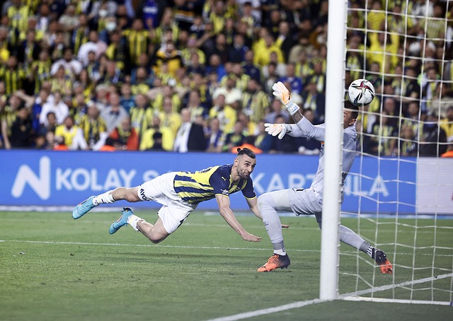 黄金岁月逐 黄金岁月逐