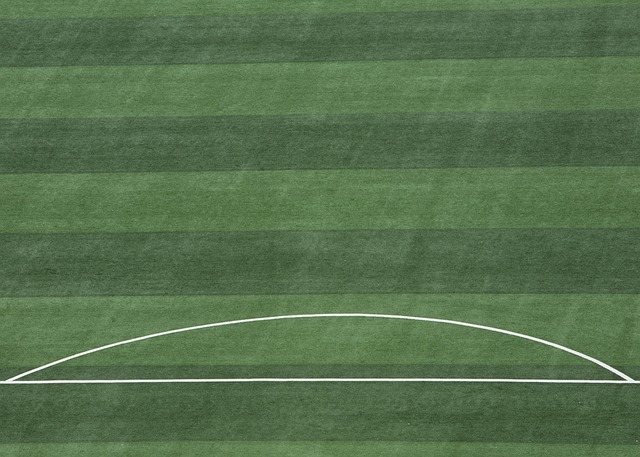 奥拉朱旺在 奥拉朱旺在