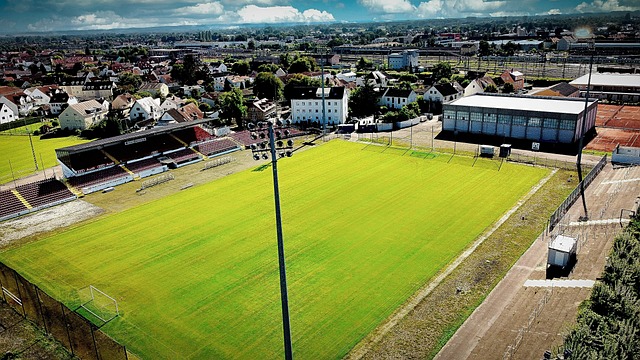 将会是关键 将会是关键