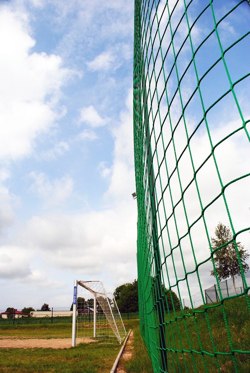 类似的境遇 类似的境遇