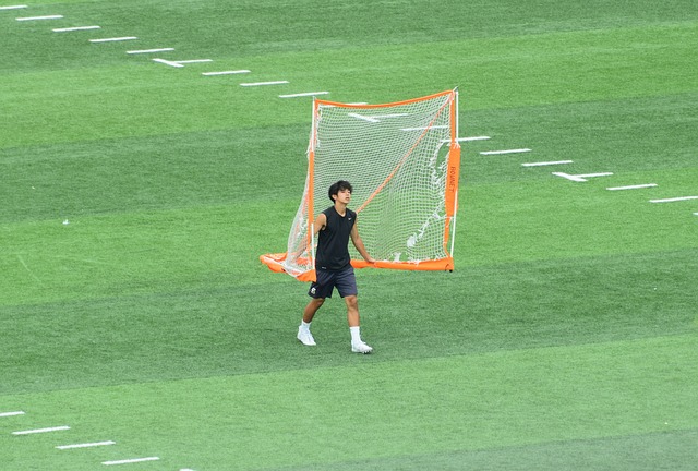 辽宁与上海 辽宁与上海