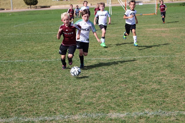 可以看出 可以看出